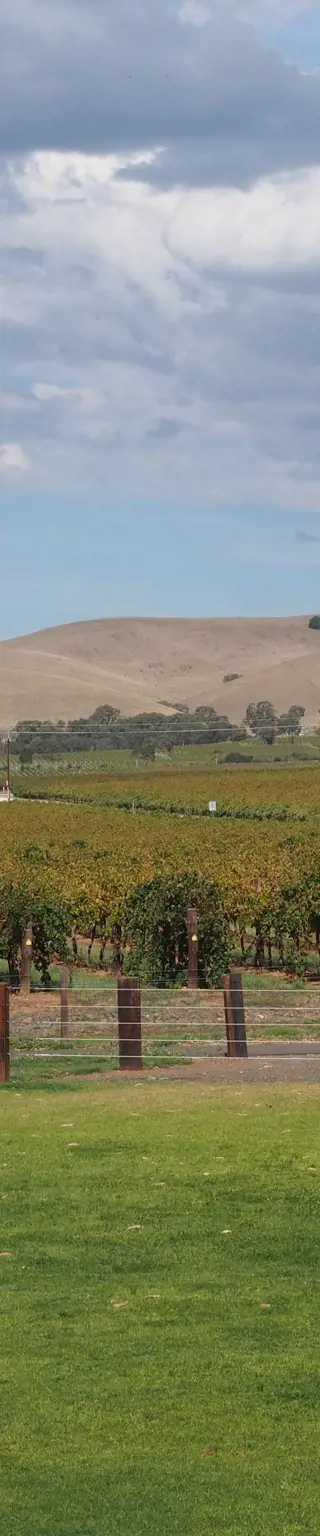 Degustiere feinen Wein